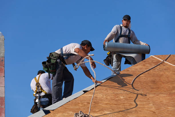 Best Gutter Installation and Roofing  in Pumpkin Center, NC