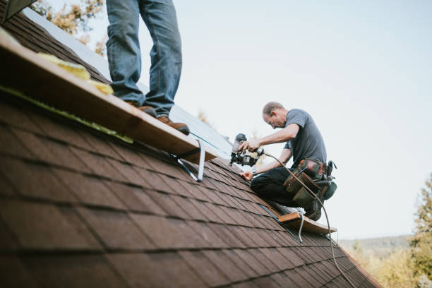 Gutter Installation and Roofing in Pumpkin Center, NC